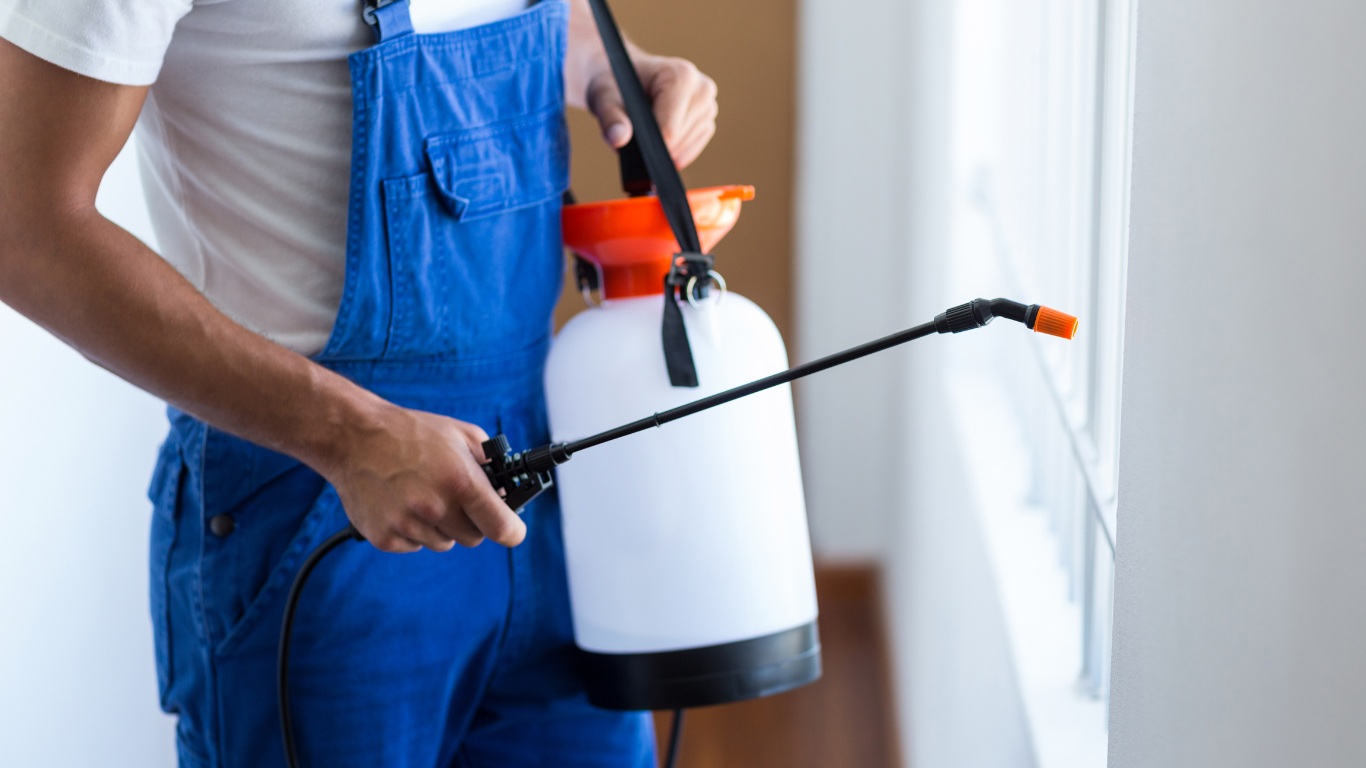 Professional decontamination technician spraying interior window.