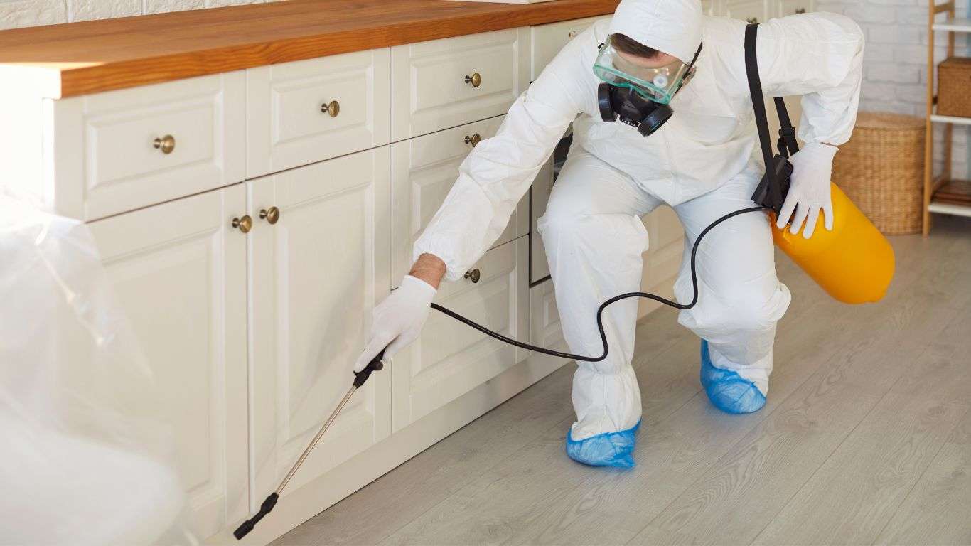 Professional infestation cleanup technician spraying kitchen cabinets in protective gear.
