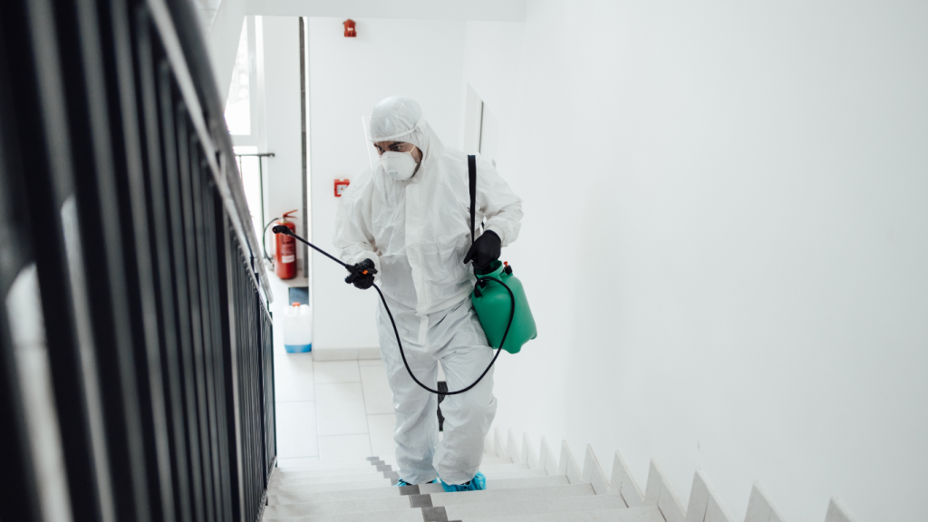 decontamination services