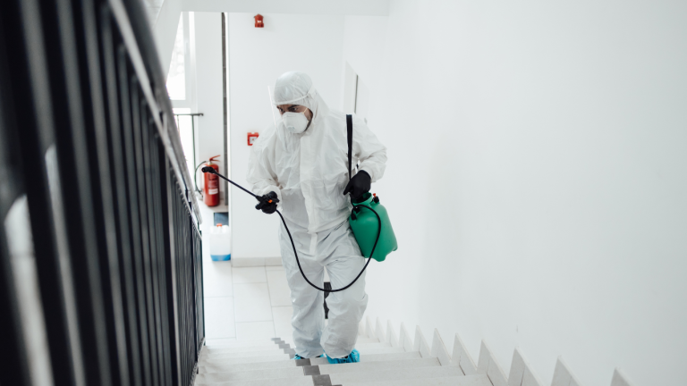 decontamination services