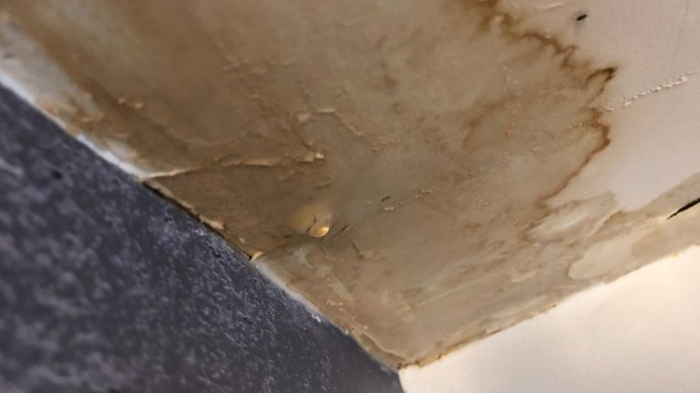 water damage restoration Livermore